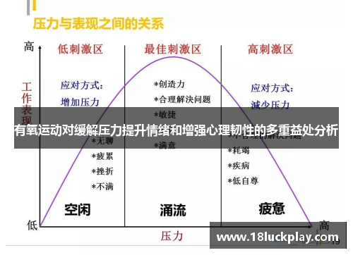 有氧运动对缓解压力提升情绪和增强心理韧性的多重益处分析
